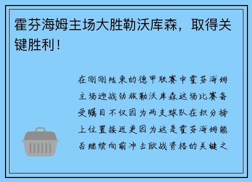霍芬海姆主场大胜勒沃库森，取得关键胜利！