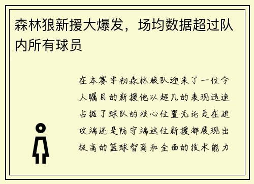 森林狼新援大爆发，场均数据超过队内所有球员