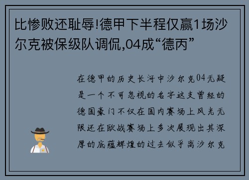 比惨败还耻辱!德甲下半程仅赢1场沙尔克被保级队调侃,04成“德丙”