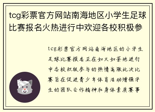 tcg彩票官方网站南海地区小学生足球比赛报名火热进行中欢迎各校积极参与
